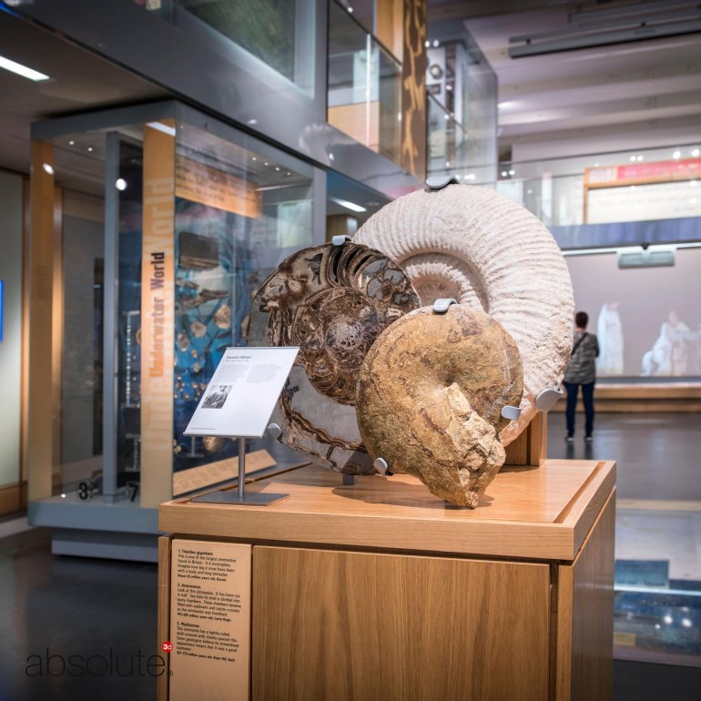 A fossil display in a museum and related information displayed within a Pinnacle Label Holder. A fossil display in a museum and related information displayed within a Pinnacle Label Holder.